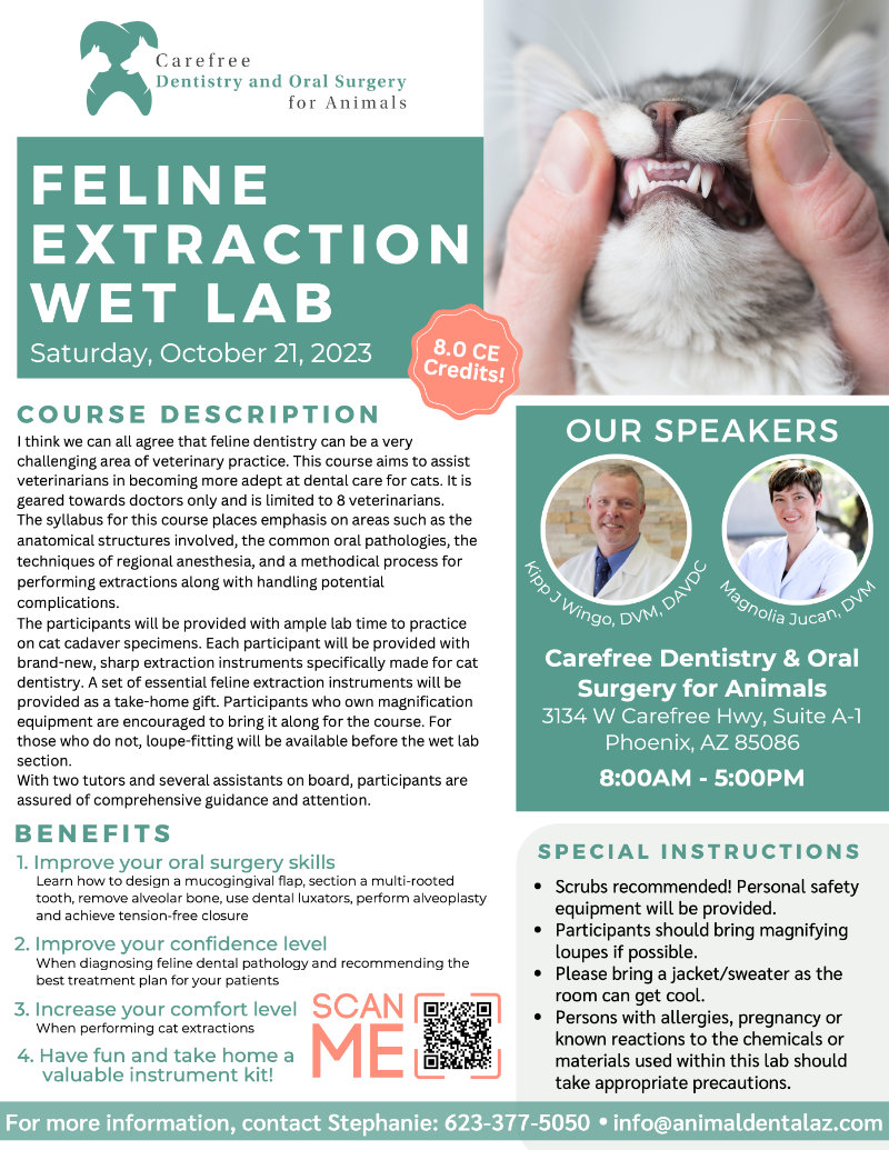 Feline Extraction Wet Lab