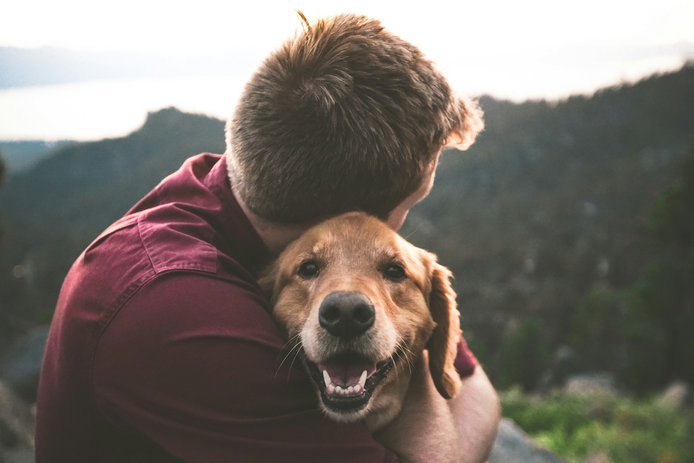Exploring the deep bond between pet and owner during a comforting hug. 🐾💖 Discover how our Pet Oral Surgery Guide helps ensure their health and happiness. 📖 #PetLove #PetHealth Photo by Eric Ward, Unsplash.